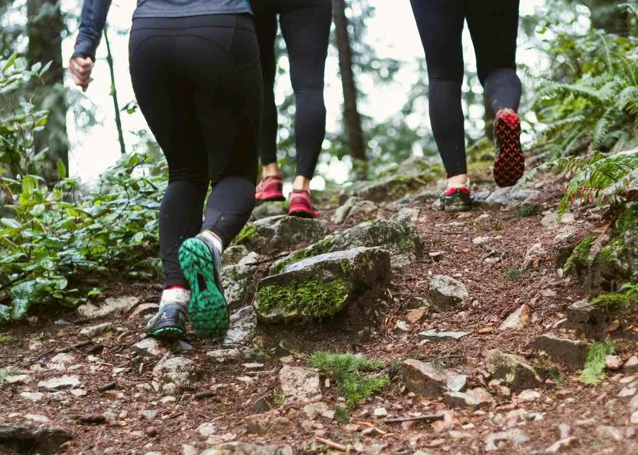 Teilnehmende beim Outdoor-Fitness für Frauen bei Prüfening im Wald von hinten fotografiert.