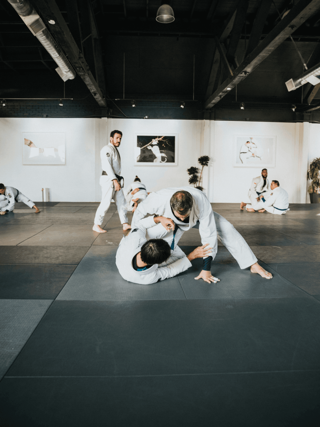 Eine Jujutsu Mannschaft trainiert auf dem Hallenboden.