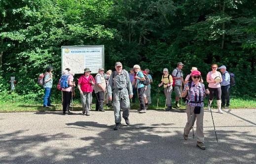 Eine Gruppe Menschen wandert im Wald.